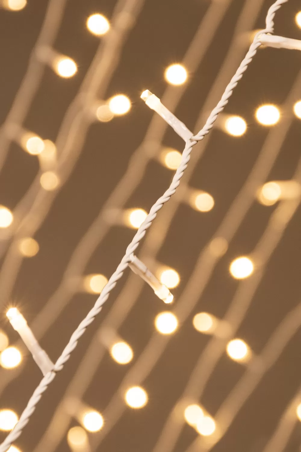 Christmas Tree World CTW White Cable 1000 LED Multifunction String Light Set - Warm White< Multifunction Led Lights