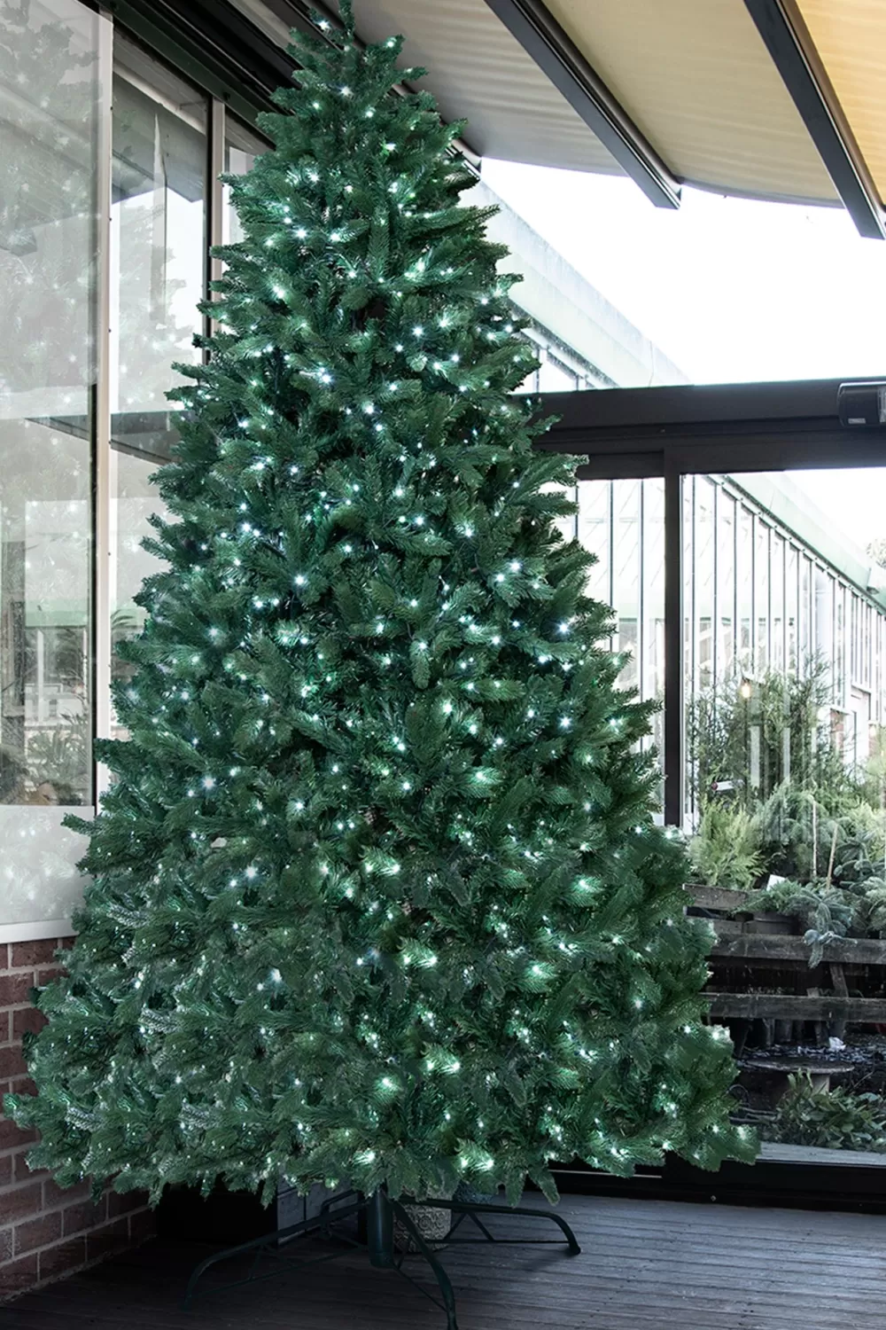 Christmas Tree World The 12ft Pre-lit Ultra Devonshire Fir - 6.6ft Wide - Warm White/White Colour Change LEDs< Large Commercial Christmas Trees | 12 Foot Pre Lit Christmas Trees