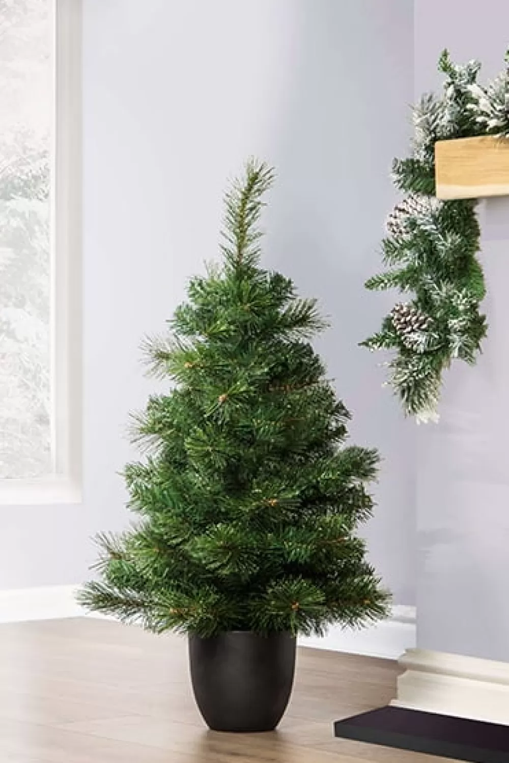 Christmas Tree World The 3ft Majestic Dew Pine Potted Tree (Indoor/Outdoor)< Outdoor Led Trees | Outdoor Christmas Trees