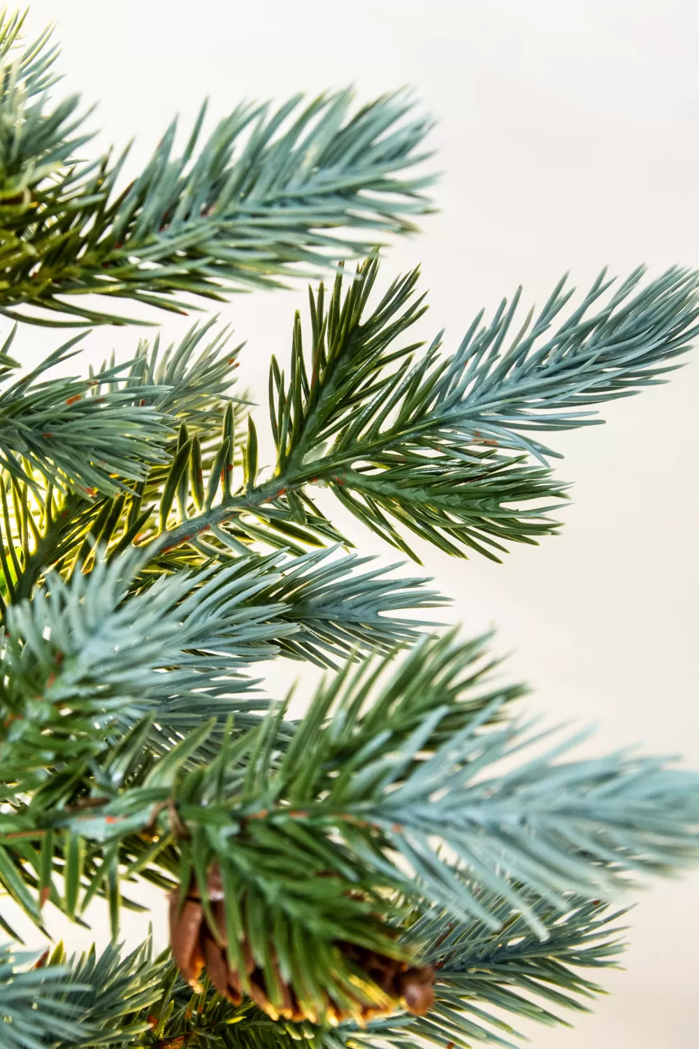 Christmas Tree World The 3ft Pre-lit Cairngorm Pine Potted Tree (Indoor/Outdoor)< 3 Foot Pre Lit Christmas Trees | Outdoor Christmas Trees