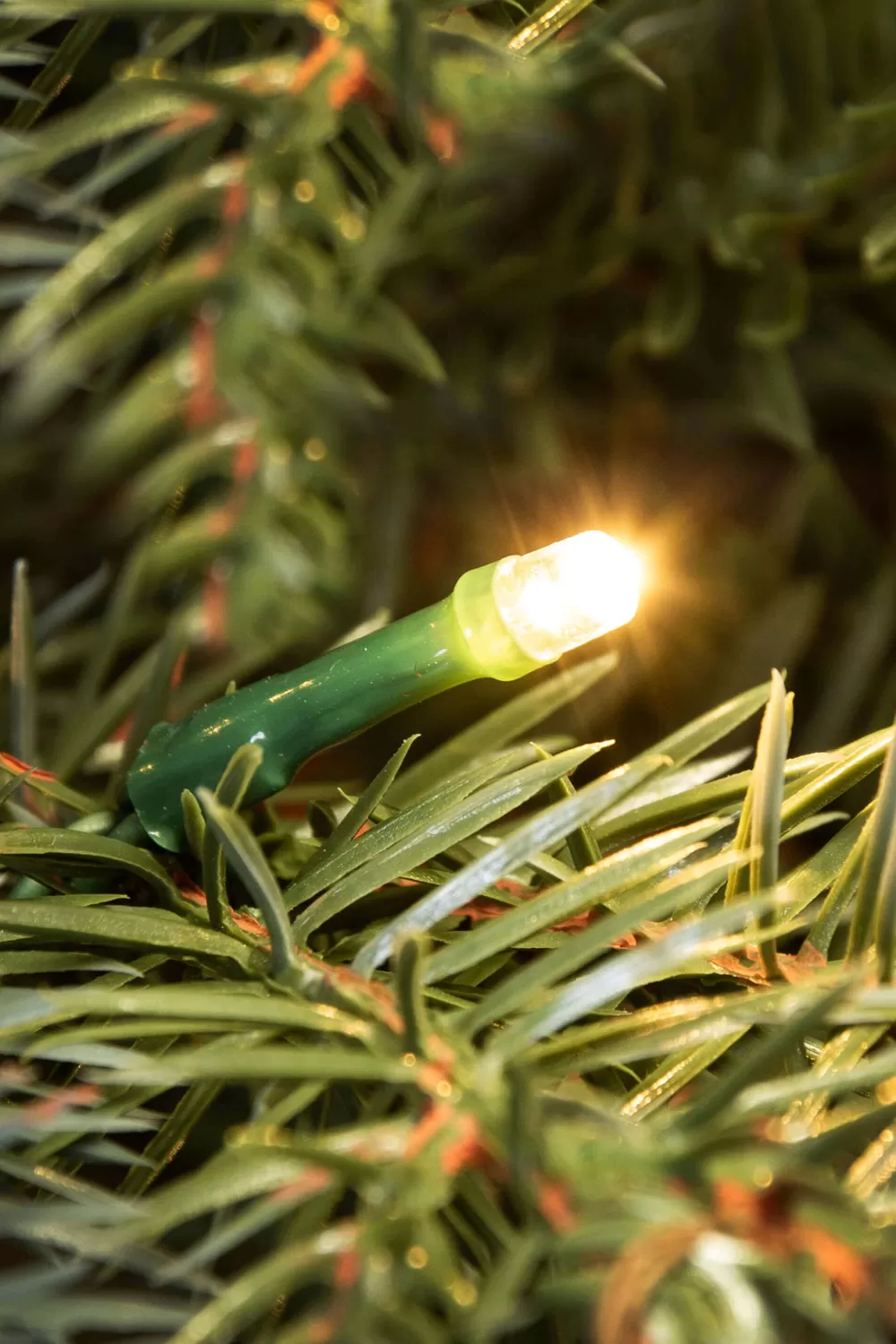Christmas Tree World The 3ft Pre-lit Cairngorm Pine Potted Tree (Indoor/Outdoor)< 3 Foot Pre Lit Christmas Trees | Outdoor Christmas Trees