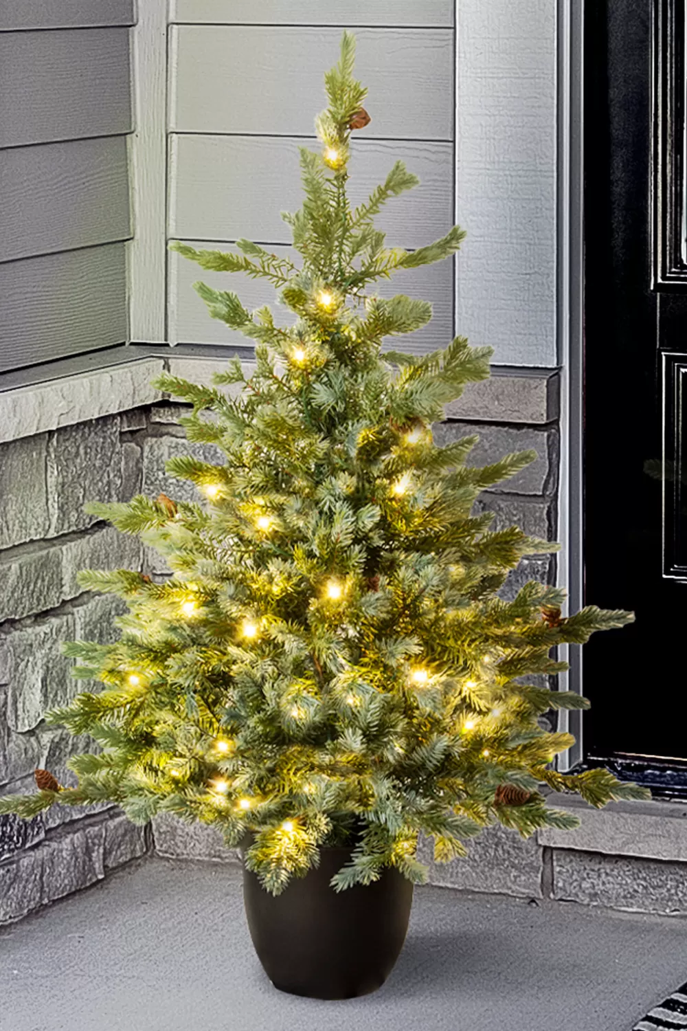 Christmas Tree World The 3ft Pre-lit Cairngorm Pine Potted Tree (Outdoor) - Warm White/Multicolour Colour Change Lights< Pre-Lit Christmas Trees | Outdoor Christmas Trees