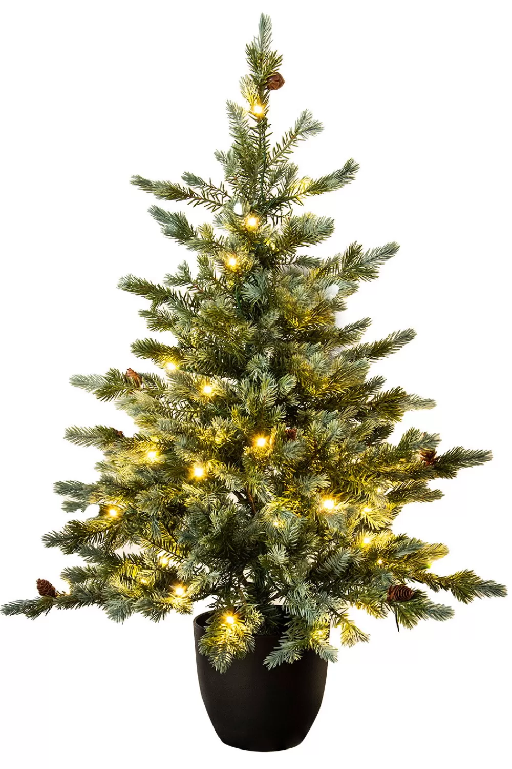 Christmas Tree World The 3ft Pre-lit Cairngorm Pine Potted Tree (Outdoor) - Warm White/Multicolour Colour Change Lights< Pre-Lit Christmas Trees | Outdoor Christmas Trees