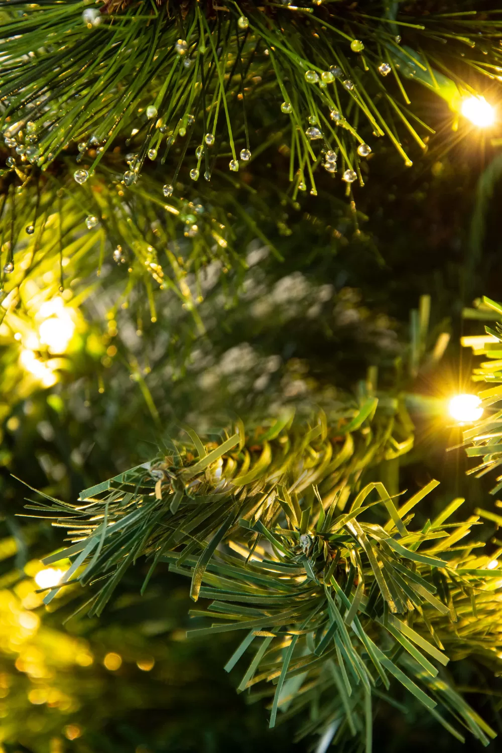 Christmas Tree World The 3ft Pre-lit Majestic Dew Pine Potted Tree (Indoor/Outdoor)< Outdoor Led Trees | 3 Foot Pre Lit Christmas Trees