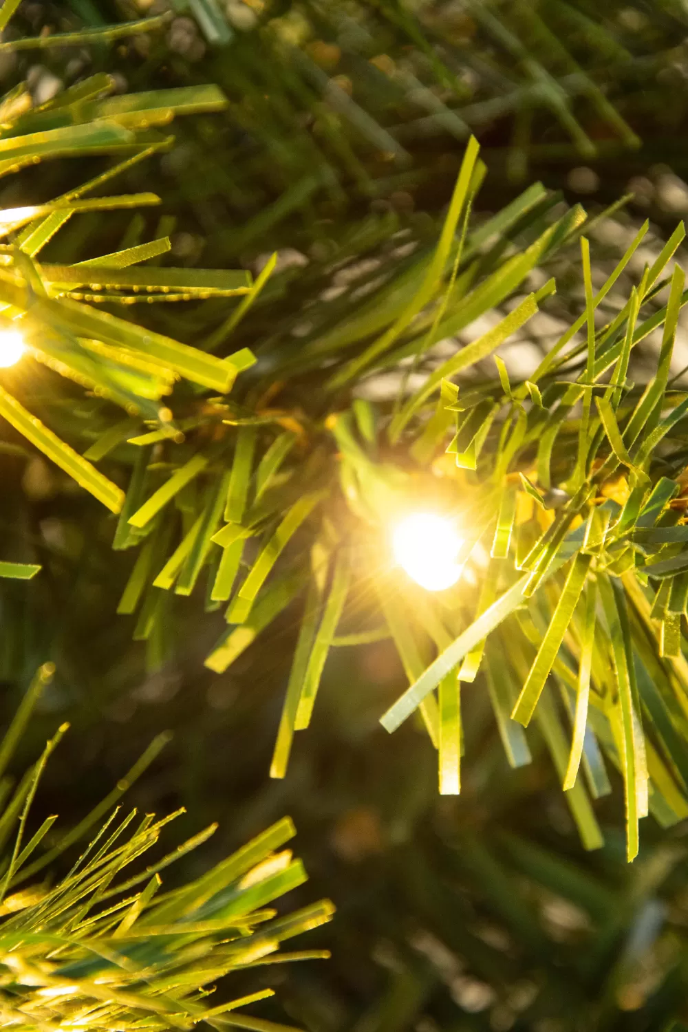 Christmas Tree World The 3ft Pre-lit Majestic Dew Pine Potted Tree (Indoor/Outdoor)< Outdoor Led Trees | 3 Foot Pre Lit Christmas Trees