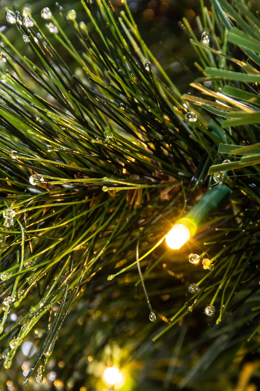 Christmas Tree World The 4ft Pre-lit Majestic Dew Pine Potted Tree (Indoor/Outdoor)< Outdoor Led Trees | Outdoor Christmas Trees