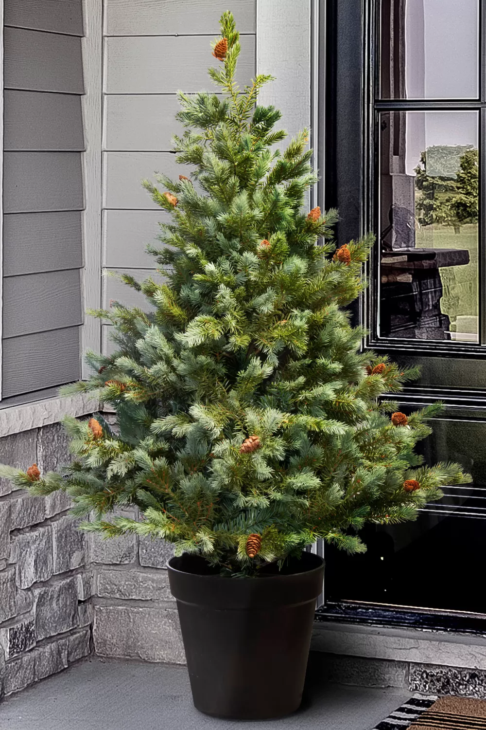 Christmas Tree World The 5ft Cairngorm Pine Potted Tree (Indoor/Outdoor)< Outdoor Christmas Trees | Outdoor Artificial Trees