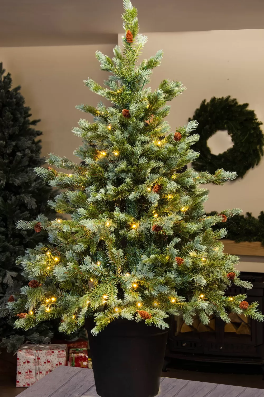 Christmas Tree World The 5ft Pre-lit Cairngorm Pine Potted Tree (Indoor/Outdoor)< 5 Foot Pre Lit Christmas Trees | Pre-Lit Christmas Trees