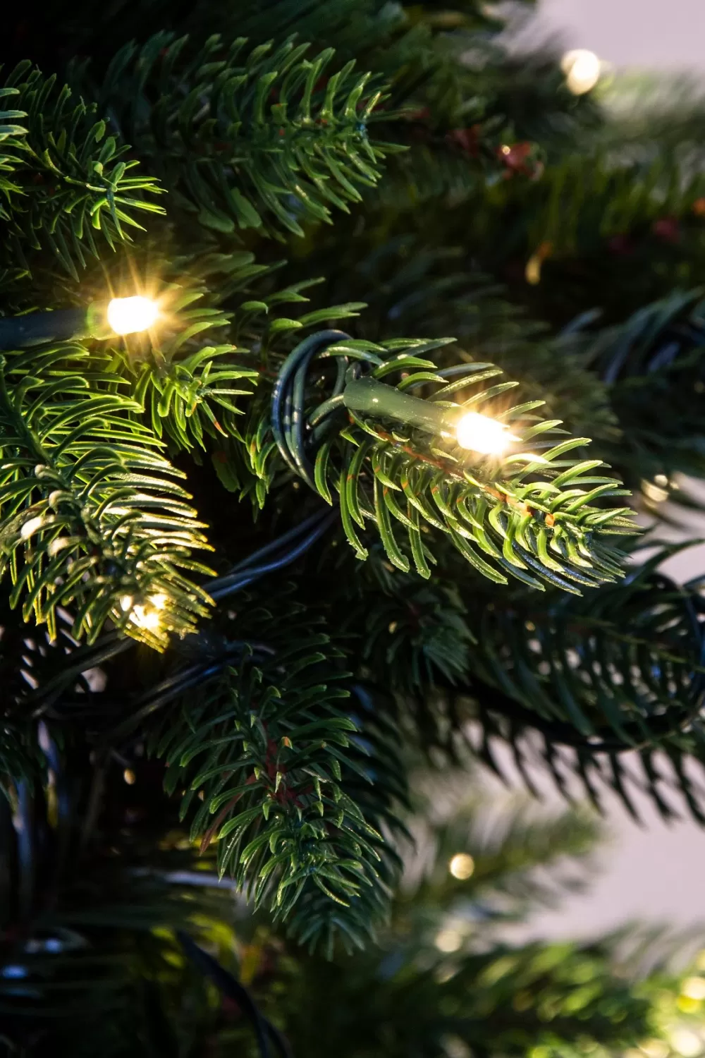 Christmas Tree World The 8ft Indoor/Outdoor Pre-lit Ultra Slim Mixed Pine< 8 Foot Pre Lit Christmas Trees | Outdoor Christmas Trees