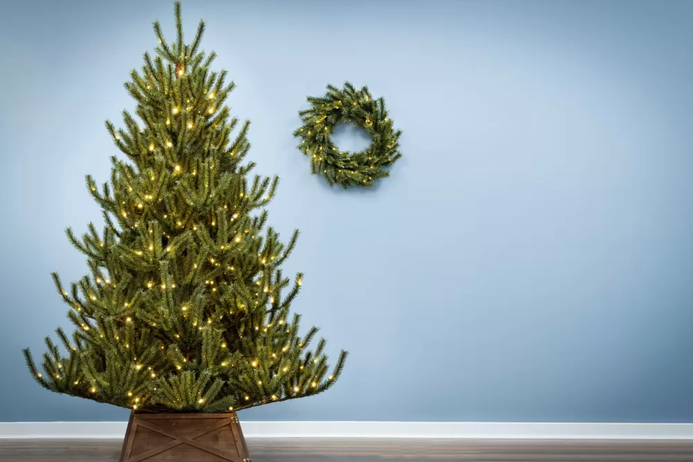 Christmas Tree World The 8ft Pre-lit Matterhorn Pine - Warm White LED Lights< 8 Foot Pre Lit Christmas Trees | Pre-Lit Christmas Trees