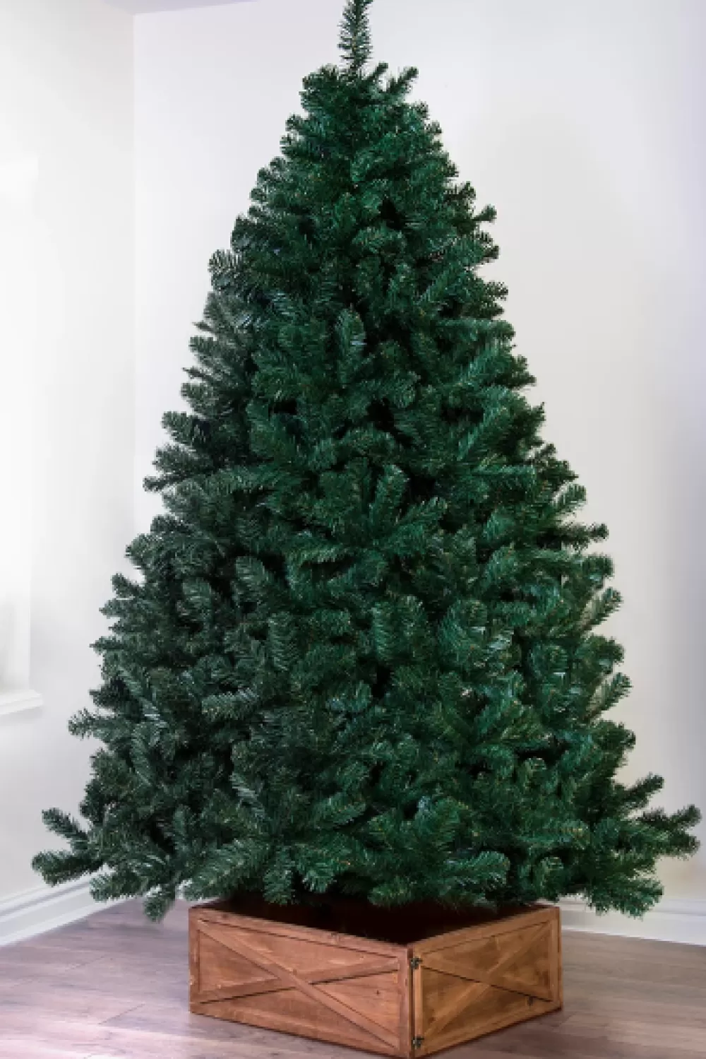 Christmas Tree World The Arbor Vitae Fir Tree (4ft To 20ft)< Unlit Christmas Trees