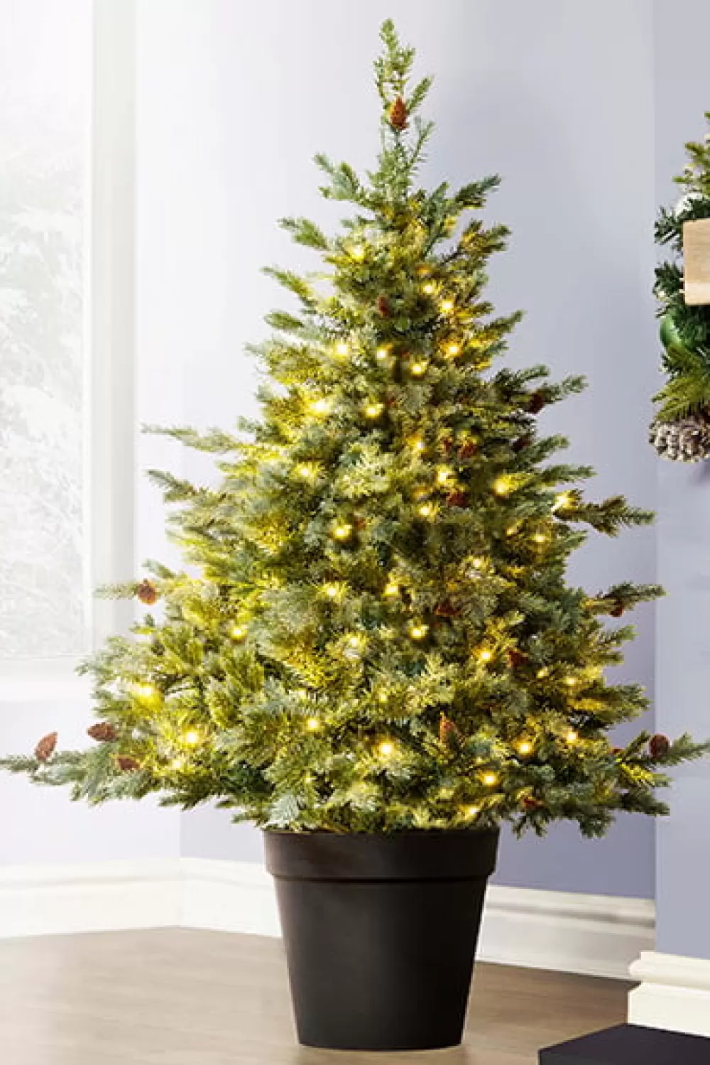 Christmas Tree World The Pre-lit Cairngorm Pine Potted Tree (3ft To 5ft)< Outdoor Led Trees | Pre-Lit Christmas Trees