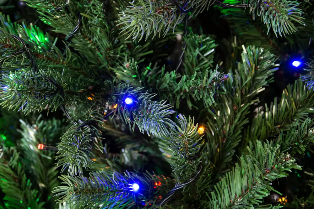Christmas Tree World The Ultra Devonshire Fir Pre-lit With Warm White/Multicoloured Colour Change LEDs (4ft To 14ft)< Pre-Lit Christmas Trees
