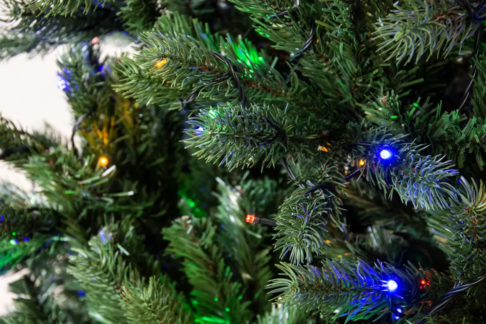 Christmas Tree World The Ultra Devonshire Fir Pre-lit With Warm White/Multicoloured Colour Change LEDs (4ft To 14ft)< Pre-Lit Christmas Trees