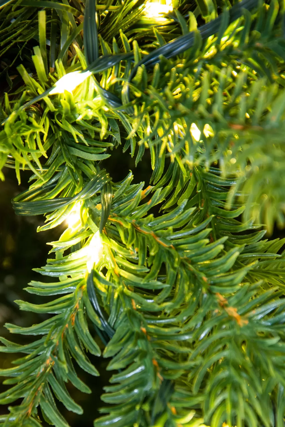 Christmas Tree World The Ultra-Lit Montagna Fir Tree (6ft To 8ft)< Pre-Lit Christmas Trees